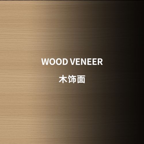 当代系列专用